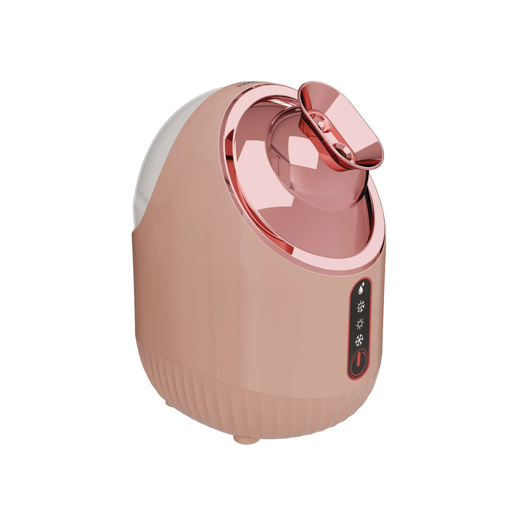 Rozita Hot & Cold Face Steamer