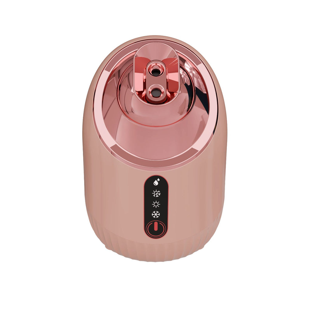 Rozita Hot & Cold Face Steamer