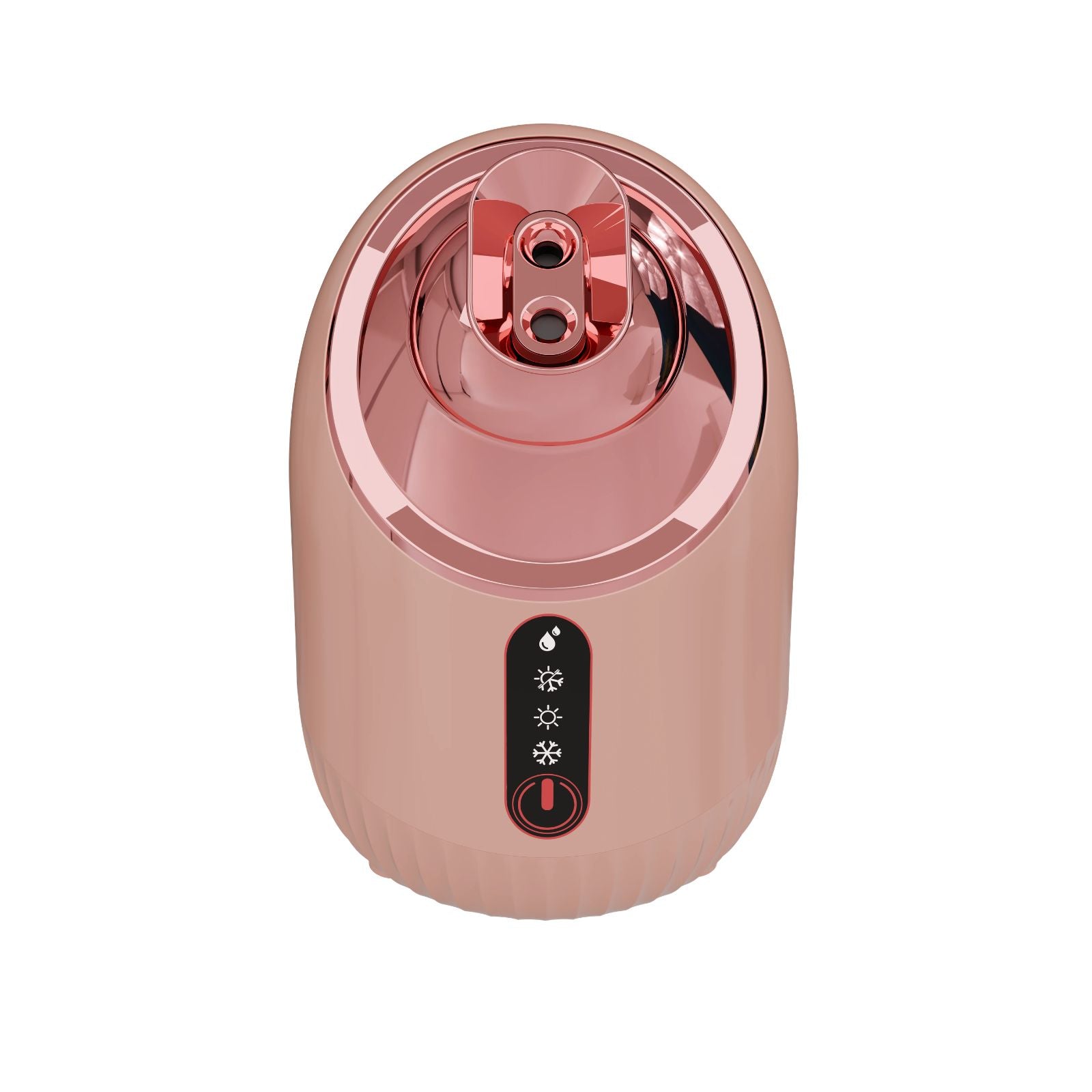 Rozita Hot & Cold Face Steamer